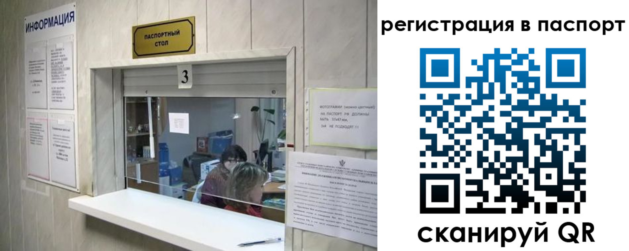 прописка поиск в Елизово